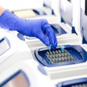 PCR analüüs